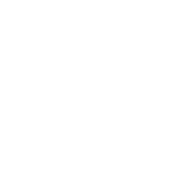 CSS Icon