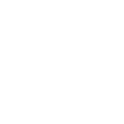 Symfony Icon