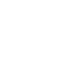 HTML Icon