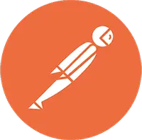 Postman Icon