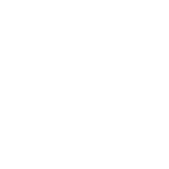 Python Icon