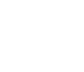 Vue Icon